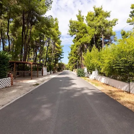 Montagna - Sani Elani