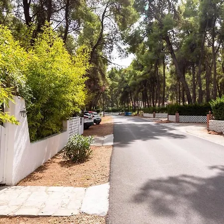 Montagna - Sani Vila Elani