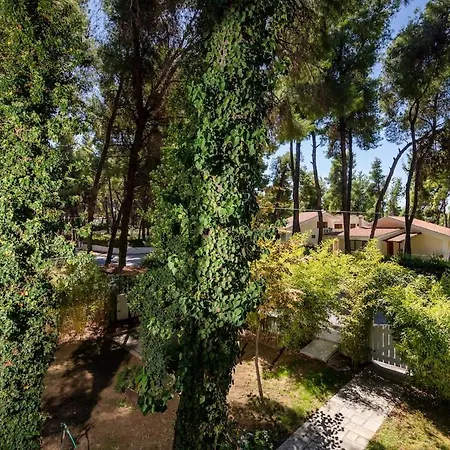 Vila Montagna - Sani Elani