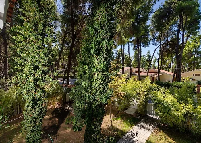 Vila Montagna - Sani Elani