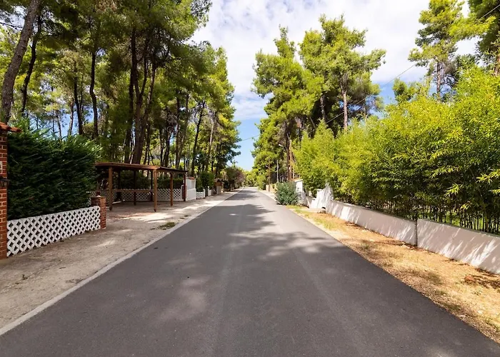 Montagna - Sani Elani